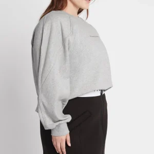 Flash Sale Aje ATHLETICA All Rounder Logo Crew Jumper 410 Grey Marle