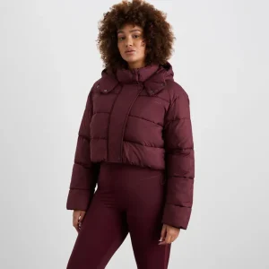 Store Aje ATHLETICA Cropped Hooded Puffer Jacket 764 Burgundy